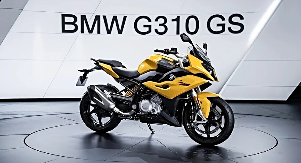BMW GS 310